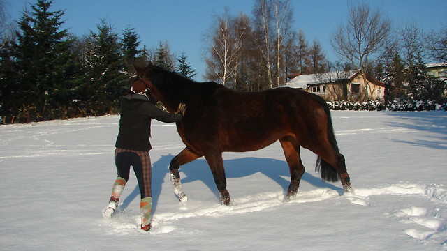 boska B
