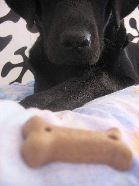 kostecka ;D