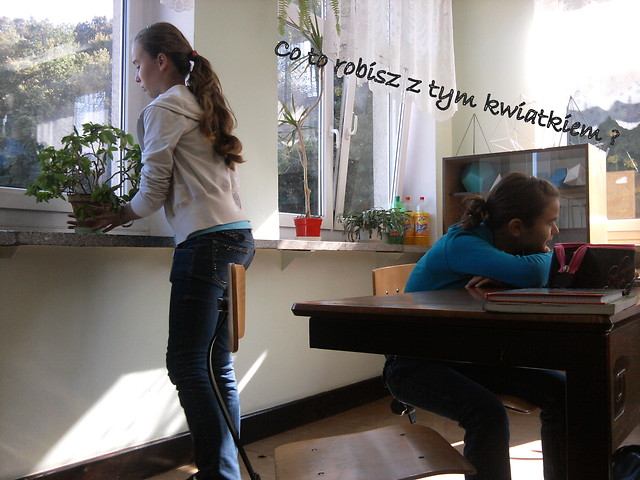 sorki za pomyk XD