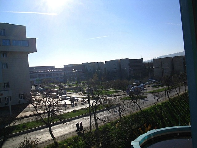 The winter's gone?!