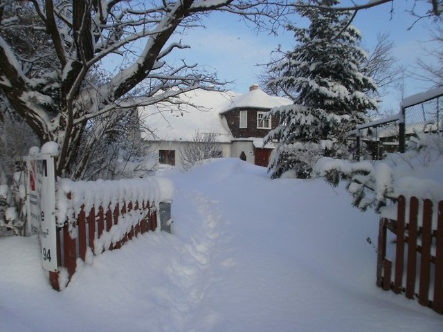 ~home for x'mas