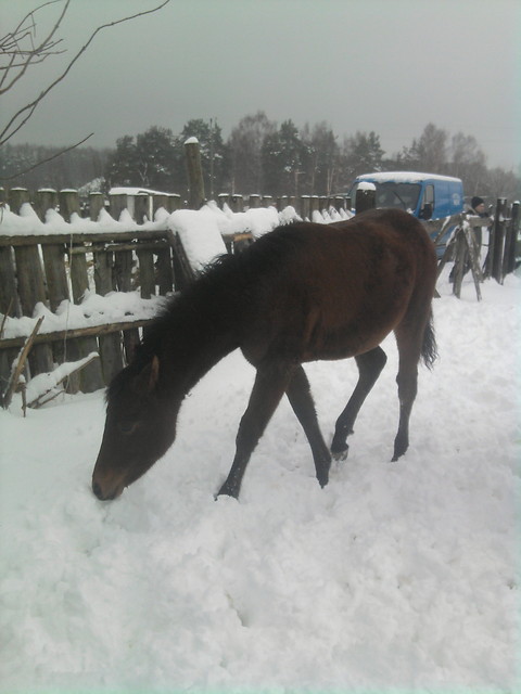 Mesetisek urwisek :*