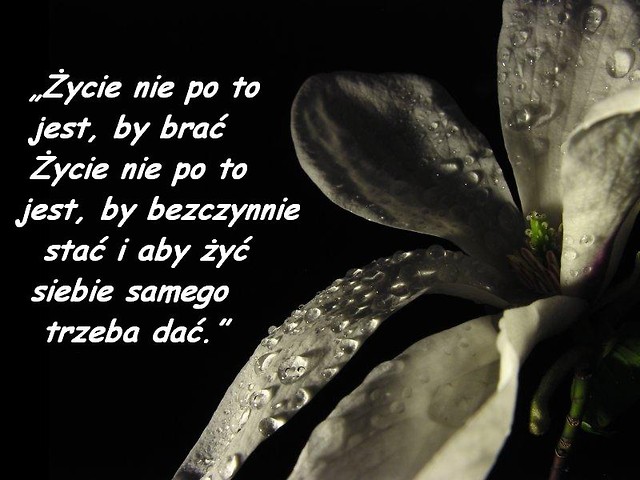 Dziekuje...