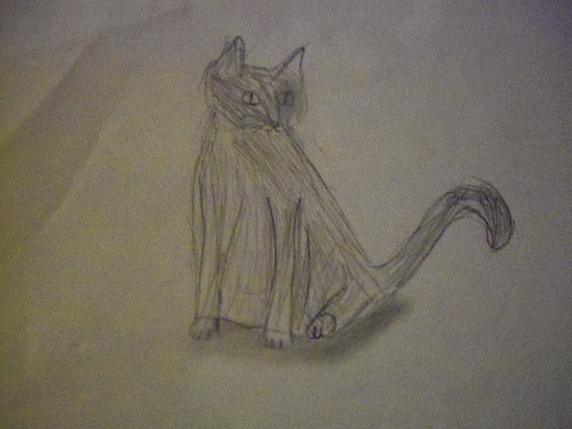 Moj Kot :D