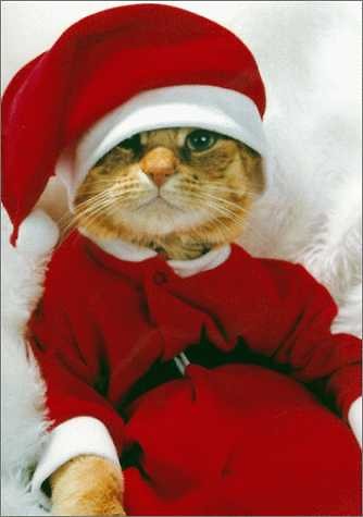 Ho ho ho