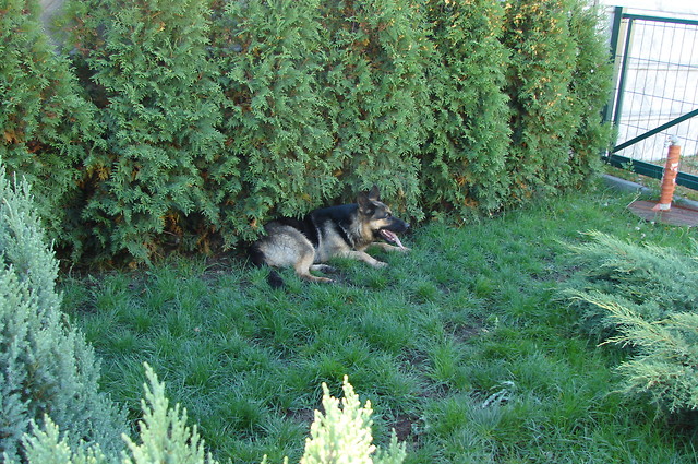 Nasza  Luna