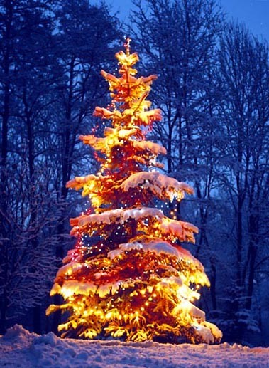 wesolych swiat!!:)