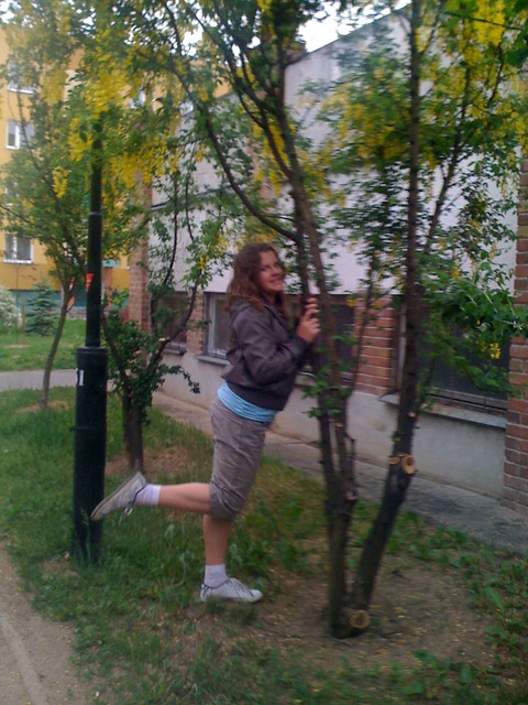 placyk