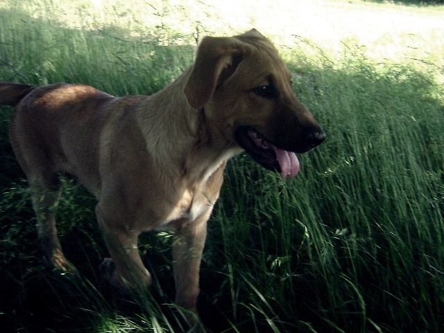 tofii ;*