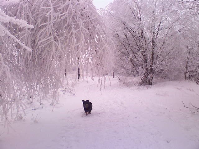 Tak zimowo^^