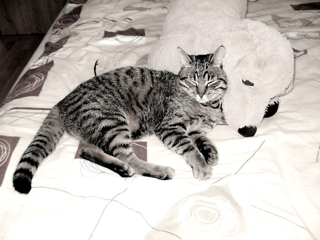 Felix