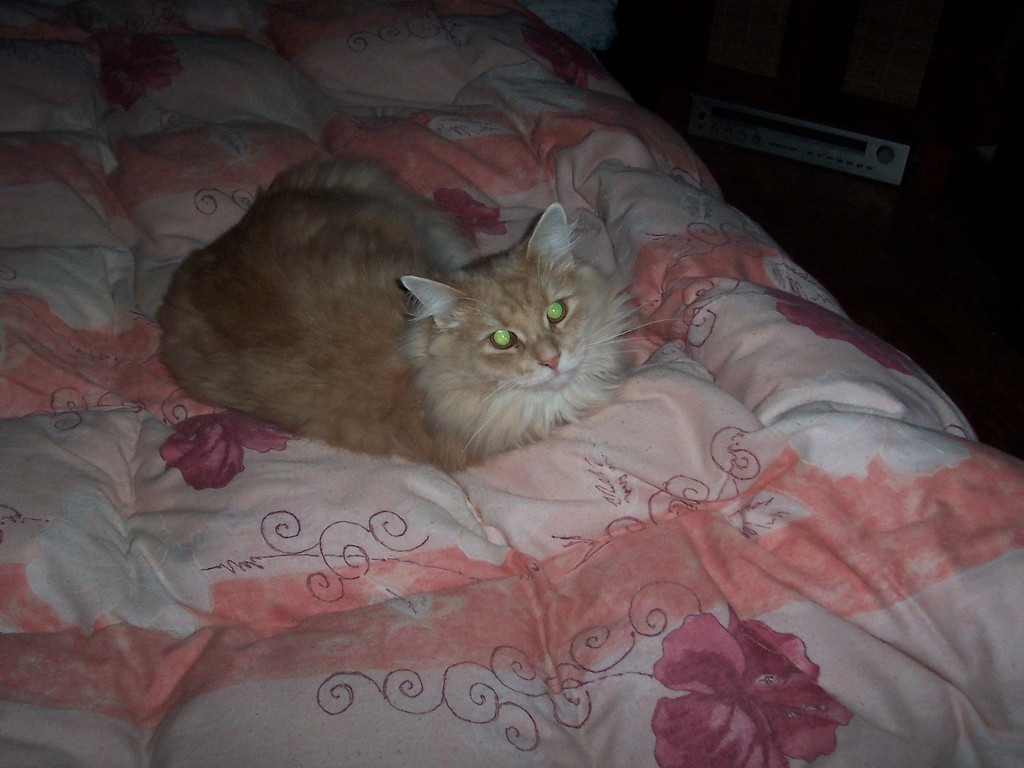 Eragonek... ;)