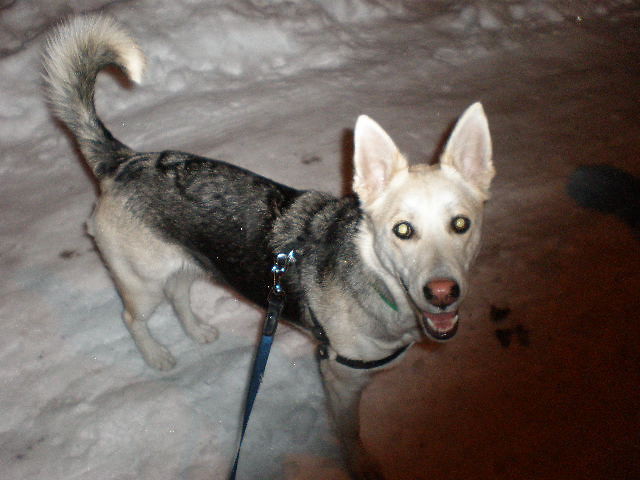 Daisyyy !