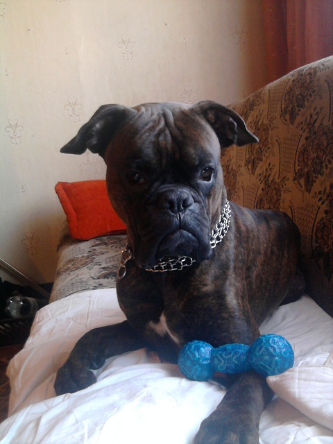 Leon ;-)