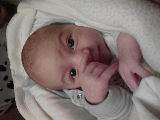 siostrzeniec :**
