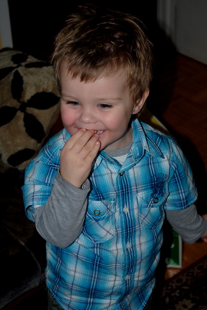 skrzacik;P