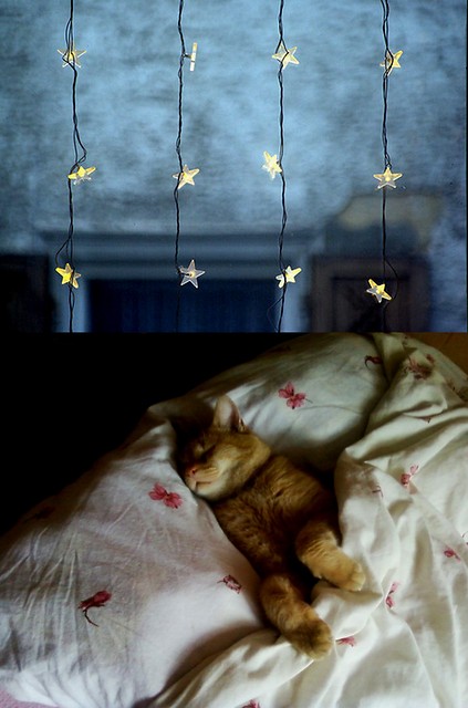 good night. 
