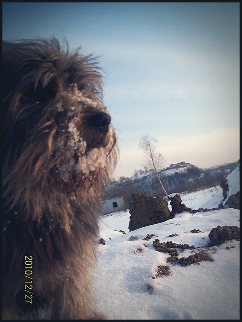 Bruno...