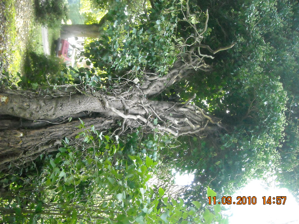 Nasza Baza.