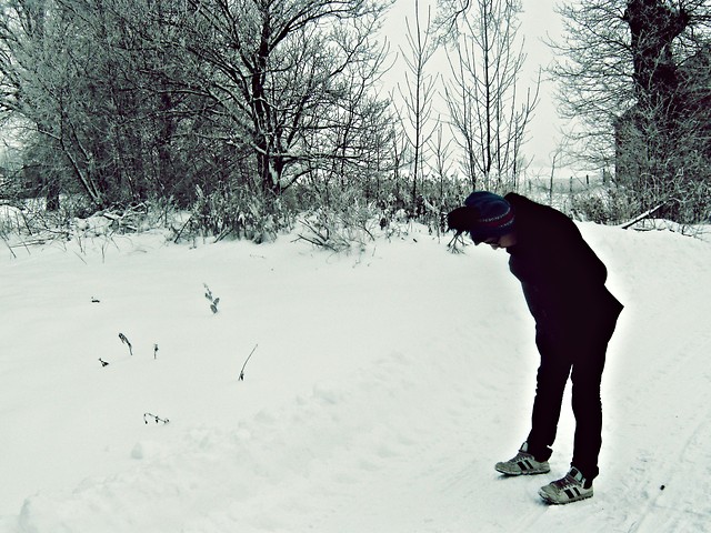 zimaaaa brrrr