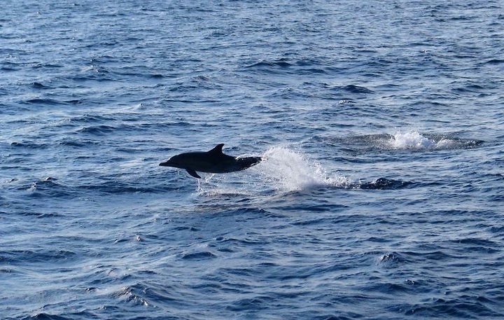 rejs statkiem na wysp Skiathos