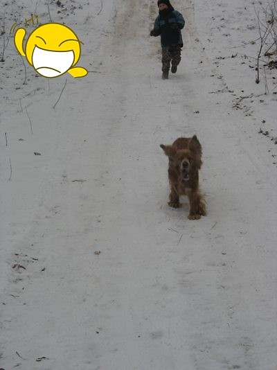 W lasku .