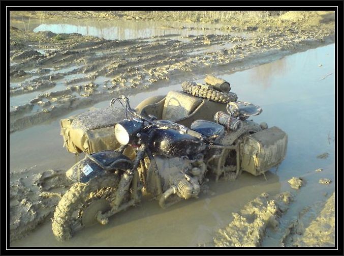 Troch bota
