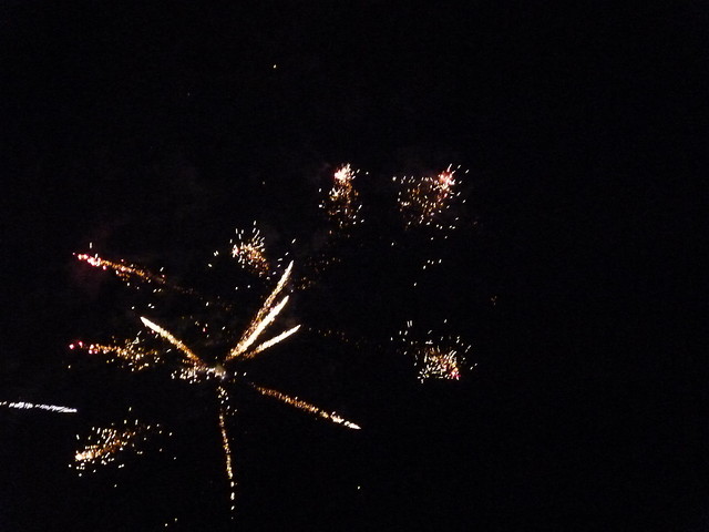2011 HAPPY NEW YEAR