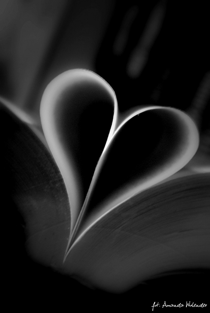 all you need is love.