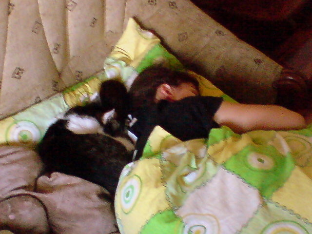 Bromka&Lubka