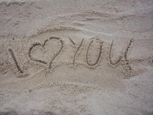 Wam ; ]]]]