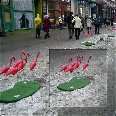 3 stycznia - 2o11