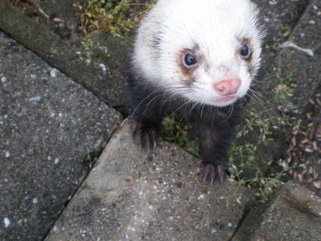 Kochanie :*