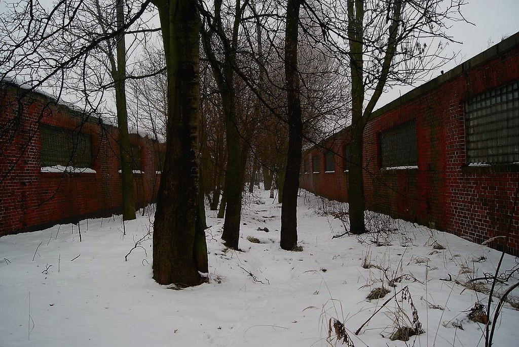 lca 24.12.10