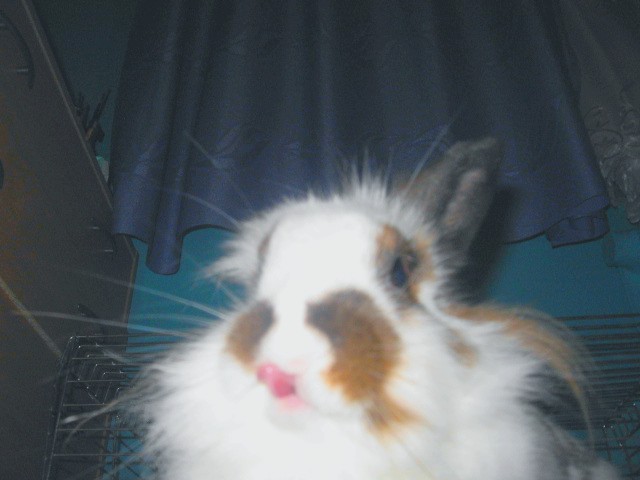 Przepraszam;*