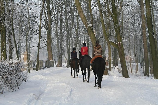 w drodze ...