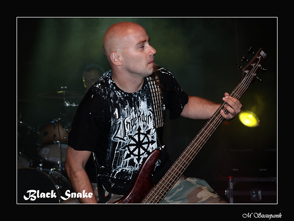 Black Snake