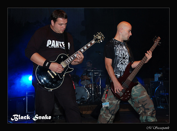 Black Snake