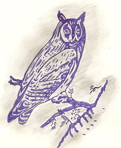 Sowa