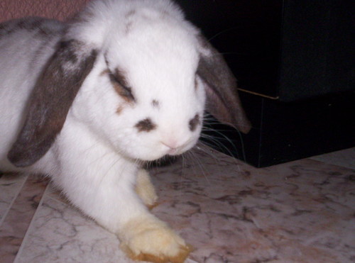 hyhyhy ;d