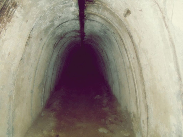 Tunelik