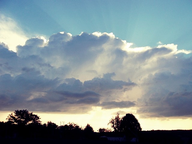stycze