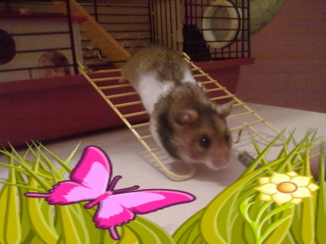 Bogu ;)