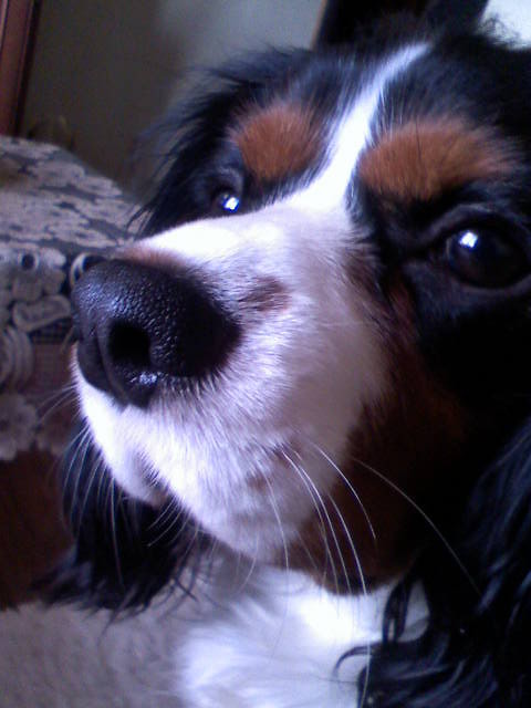 Jack .