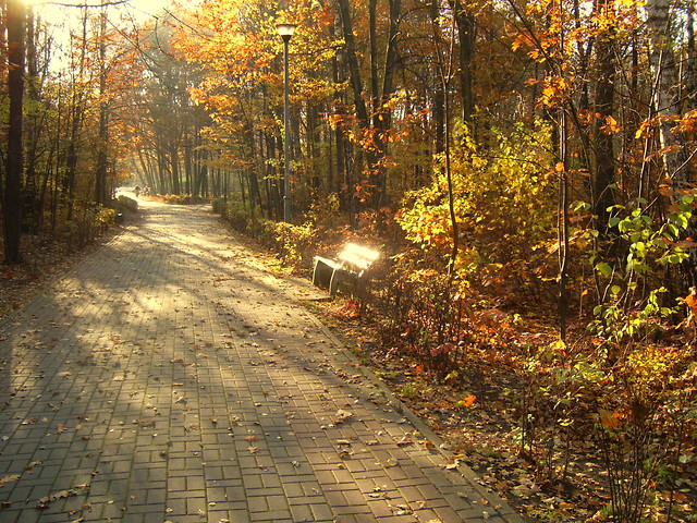 Autumn