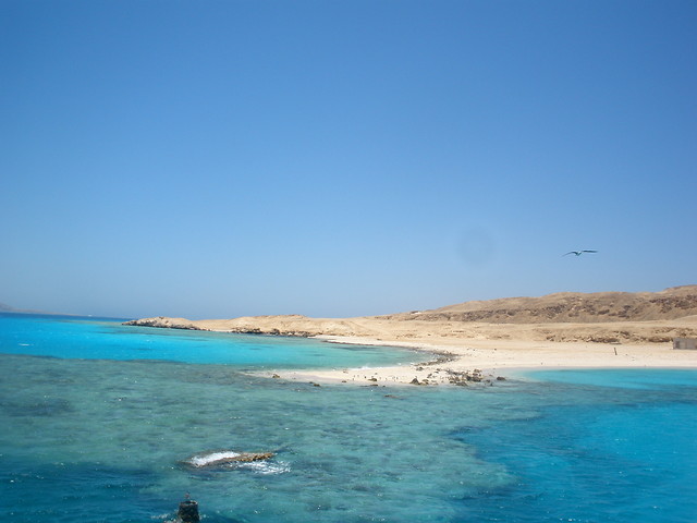 Paradise
