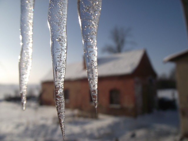 sople zima macro :)