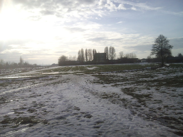 Trawa!!!