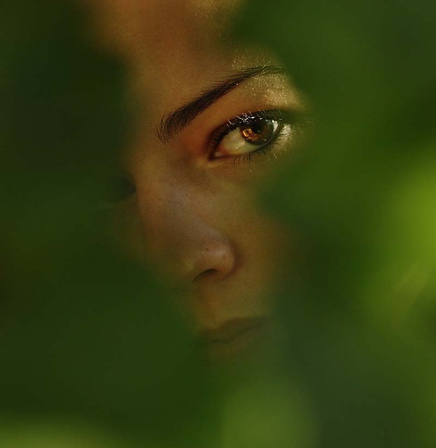 autumn eye
