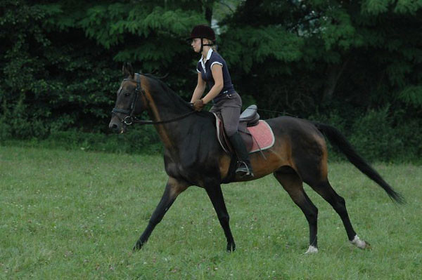 Neros :*